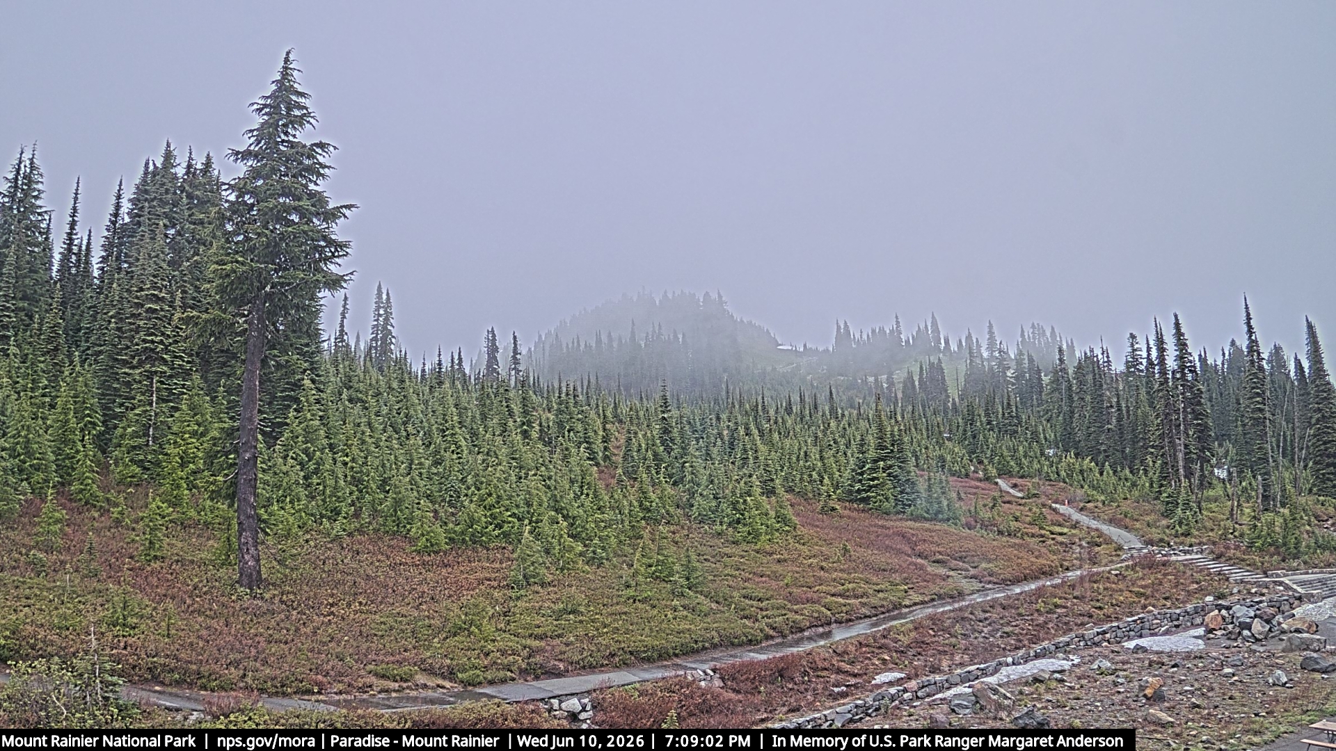 Latest Rainier webcam